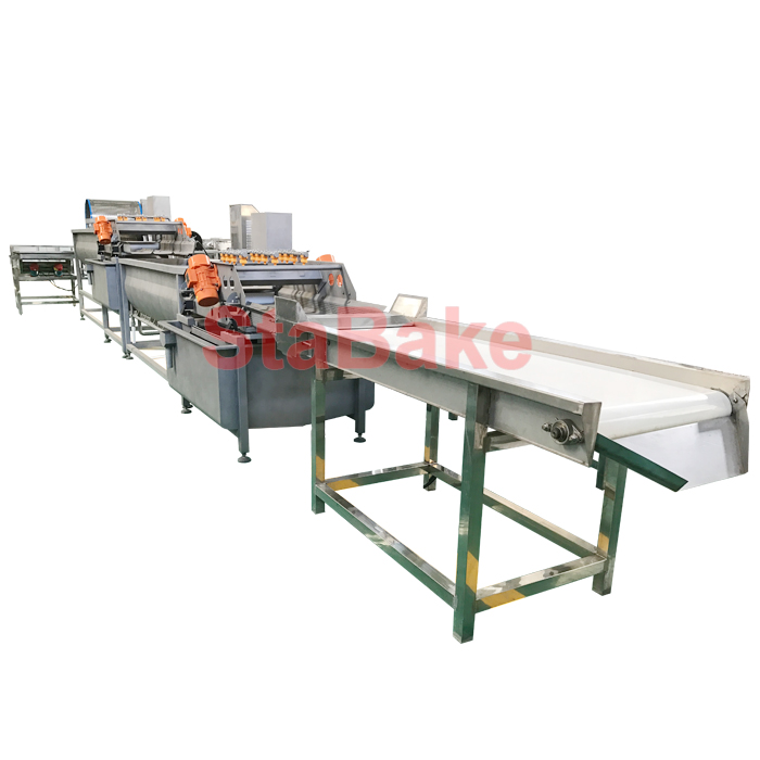 Automatic Salad Vegetable Washing Processing Line