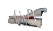 Parameters and scope of application of fruit and vegetable washing machine